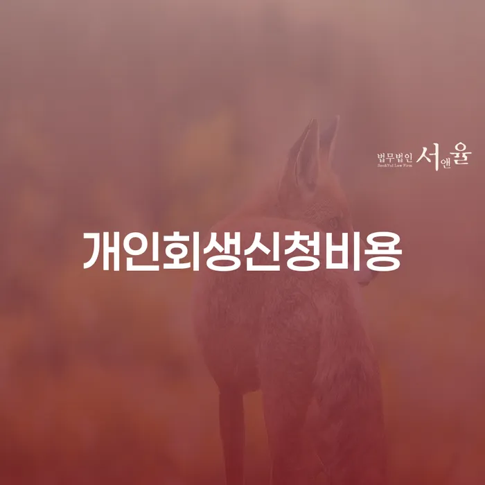 대부업연체 채무 효과적인 해결방법 지식을