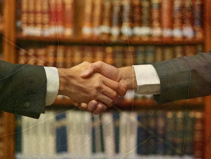 개인회생파산면책