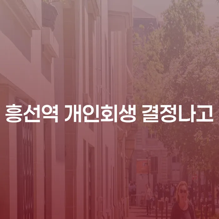 흥선역 개인회생 결정나고