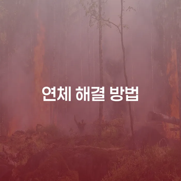 연체 해결 방법: 개인회생과 개인파산으로 채무 해결하기