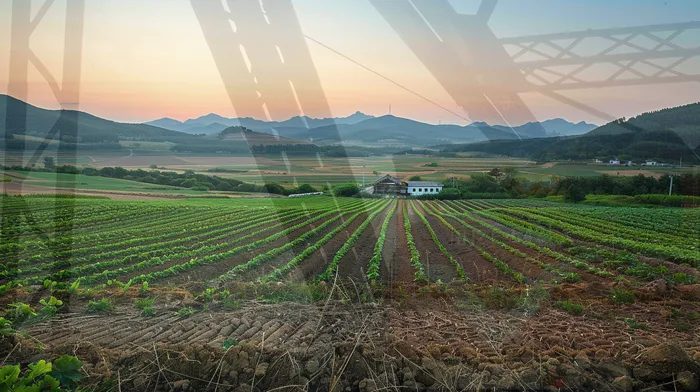 채무 조정 방법